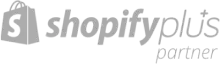 shopify partner