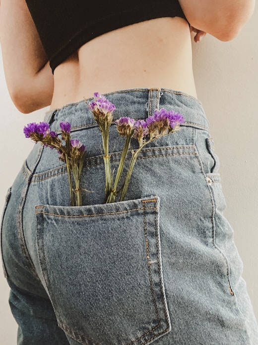 Img 2